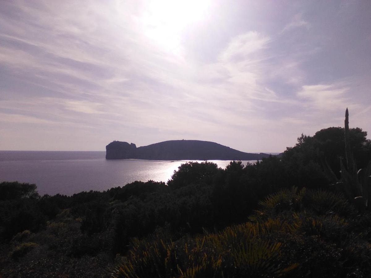 Giramondo Sardegna Affittacamere 알게로 외부 사진