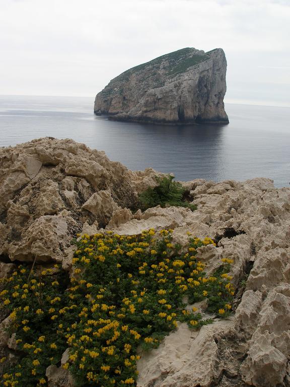 Giramondo Sardegna Affittacamere 알게로 외부 사진