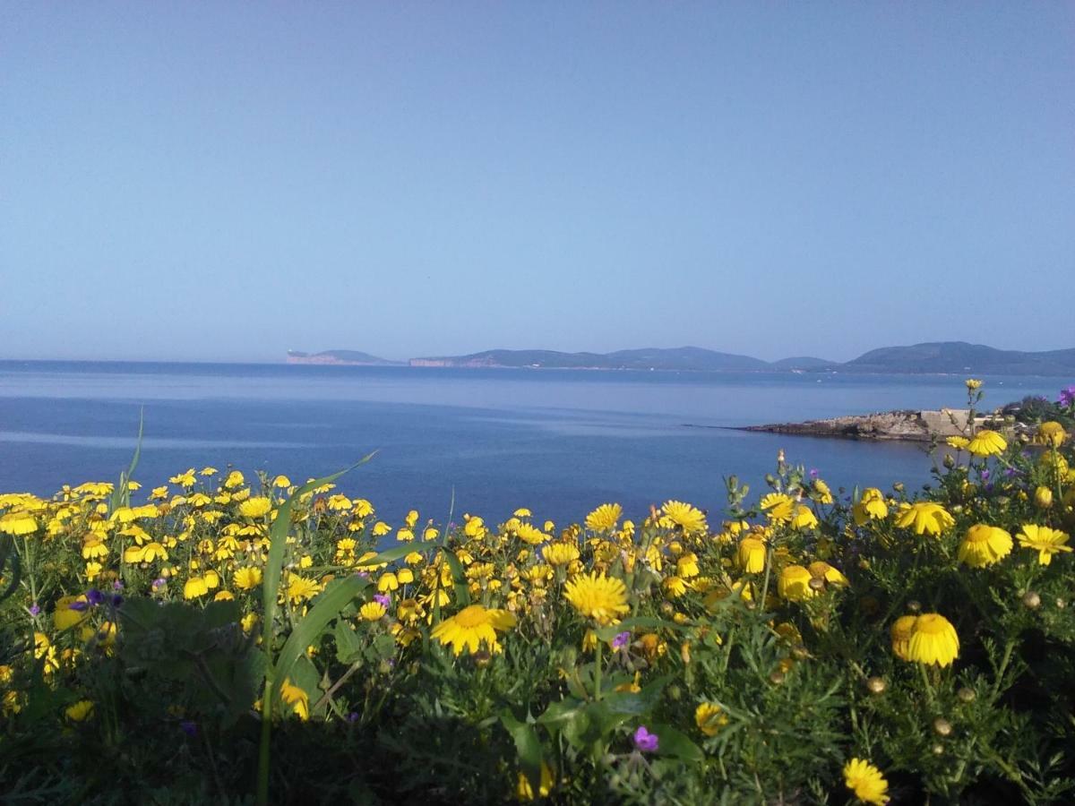 Giramondo Sardegna Affittacamere 알게로 외부 사진