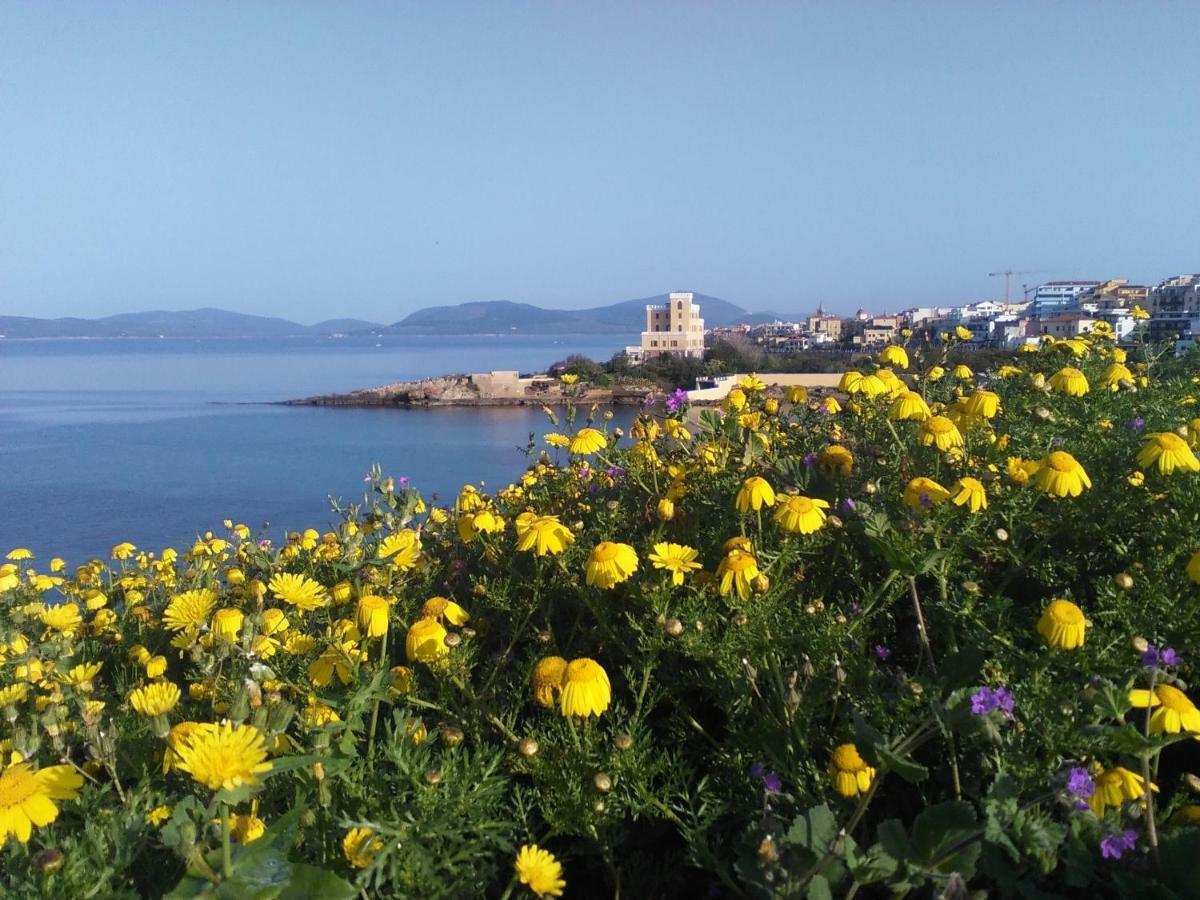 Giramondo Sardegna Affittacamere 알게로 외부 사진