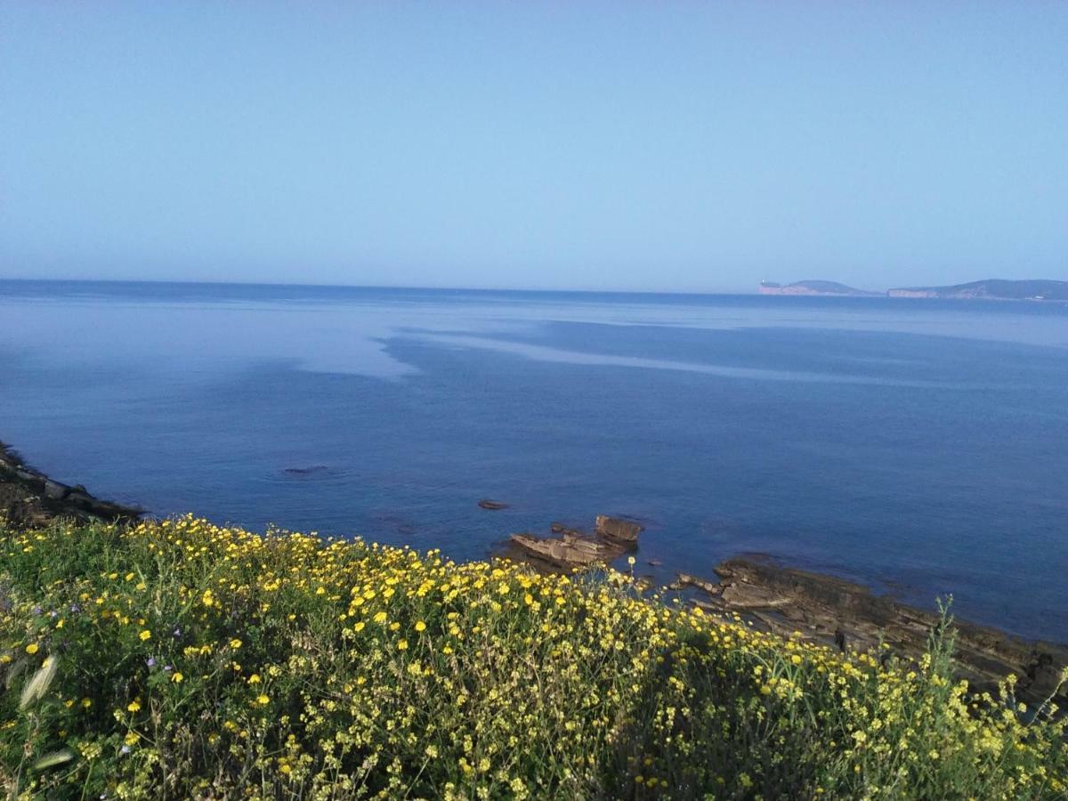 Giramondo Sardegna Affittacamere 알게로 외부 사진